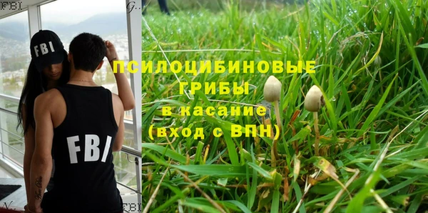 ГАЛЛЮЦИНОГЕННЫЕ ГРИБЫ Зерноград