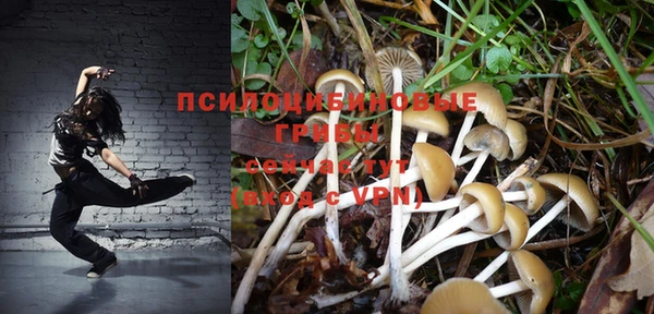 ГАЛЛЮЦИНОГЕННЫЕ ГРИБЫ Зерноград