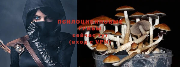 ГАЛЛЮЦИНОГЕННЫЕ ГРИБЫ Зерноград