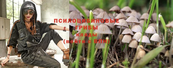 марихуана Зеленокумск