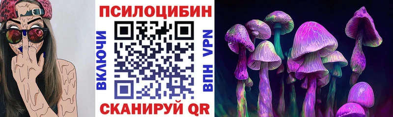 Псилоцибиновые грибы MAGIC MUSHROOMS  Купить закладки  Черноголовка 